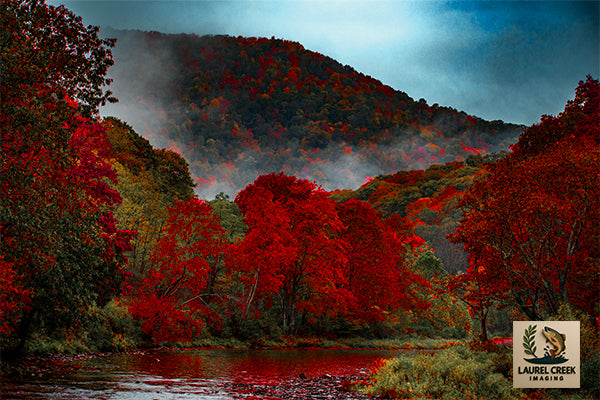 Autumn Awakes
