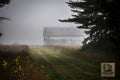 Fogbound Memory