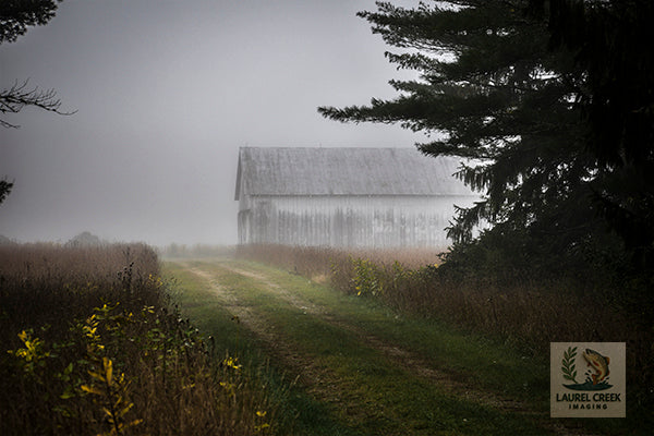 Fogbound Memory