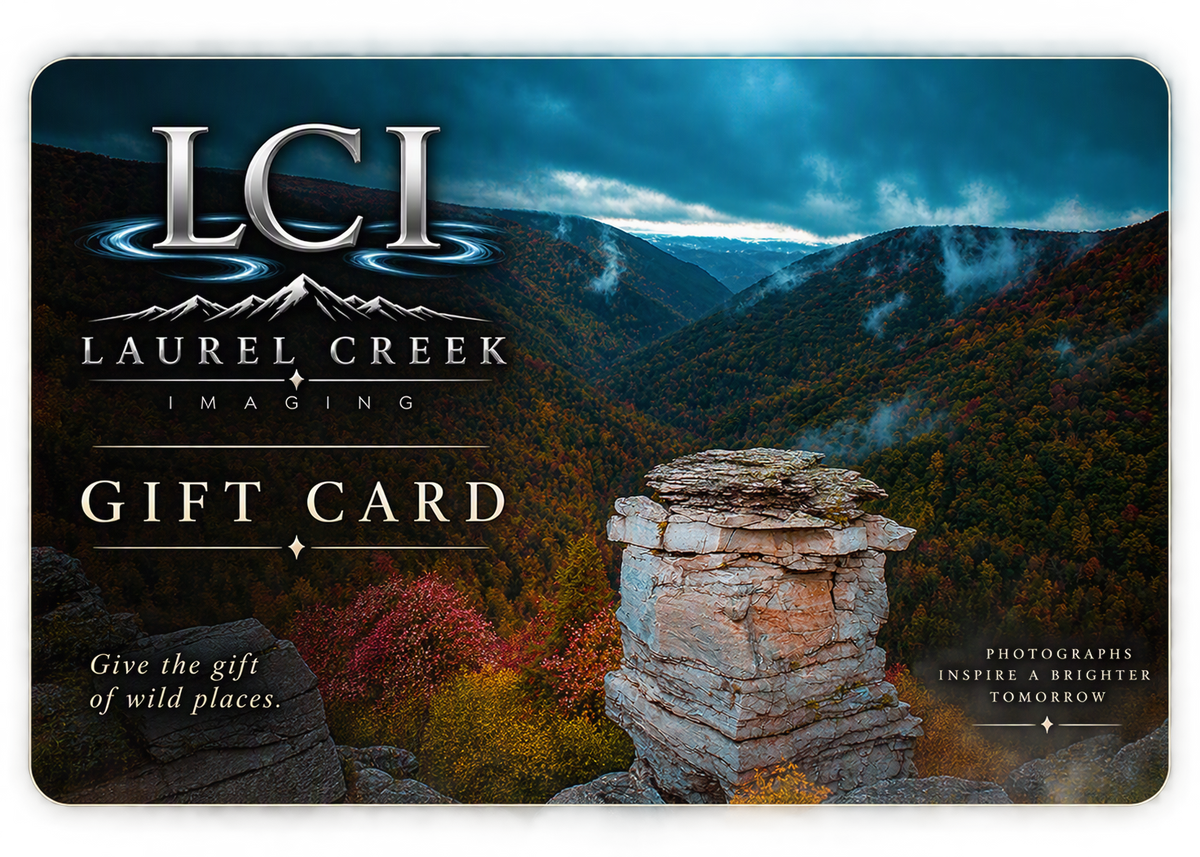 LCI Gift Card
