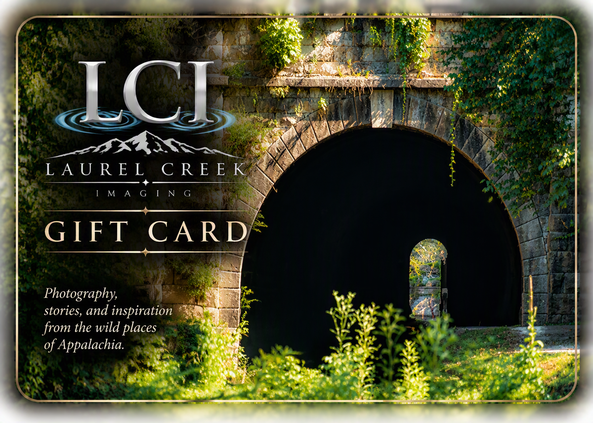 LCI Gift Card