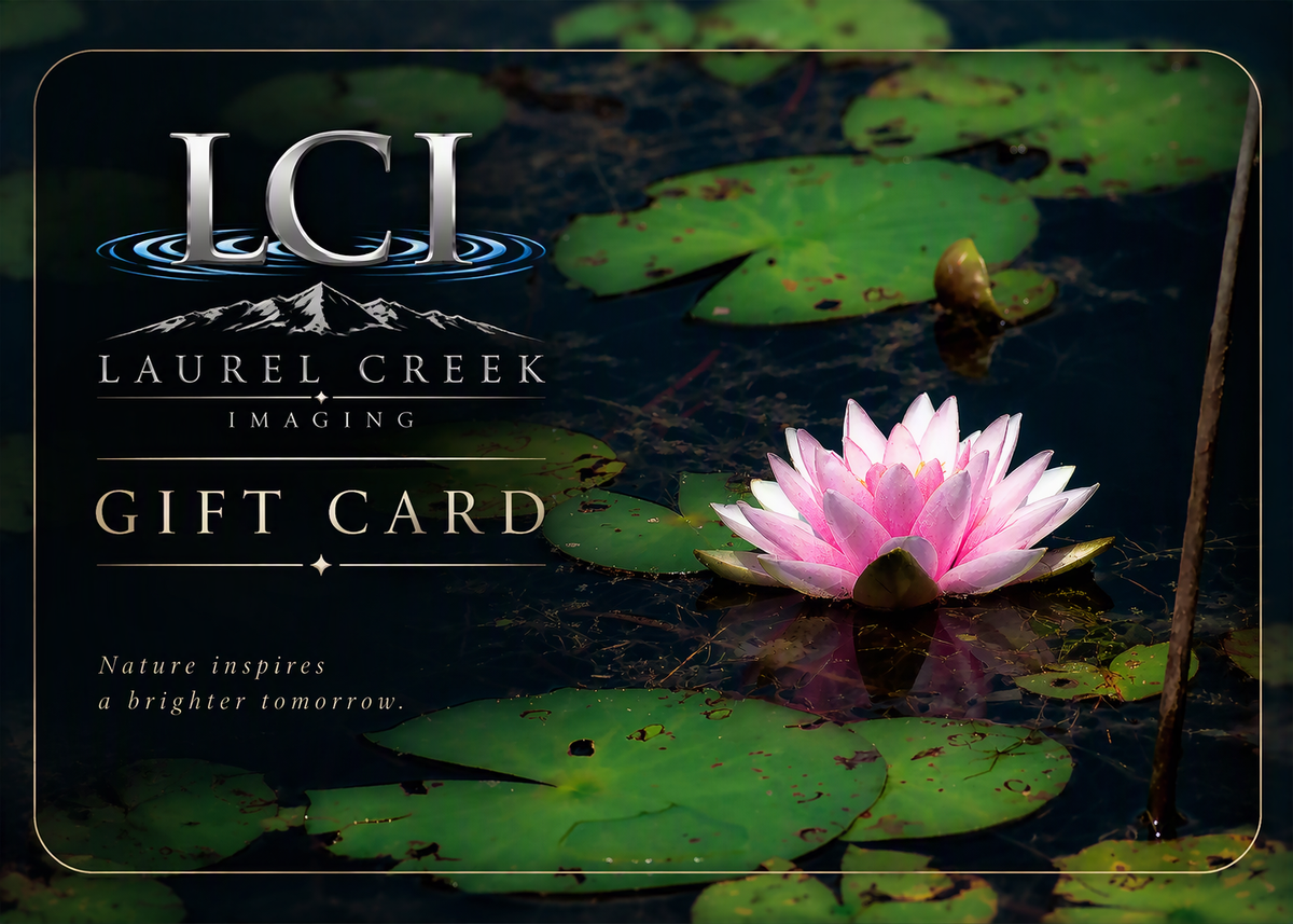 LCI Gift Card