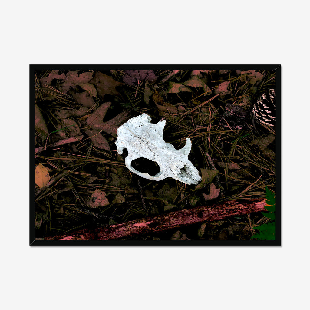 Left Behind