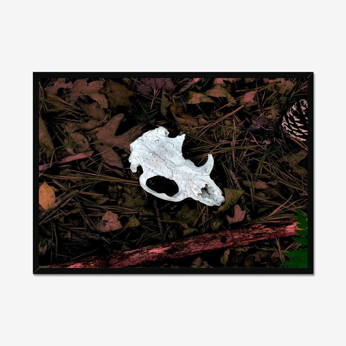 Left Behind