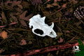 Left Behind