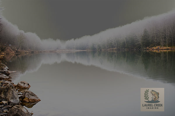 Reflections of Buffalo Lake