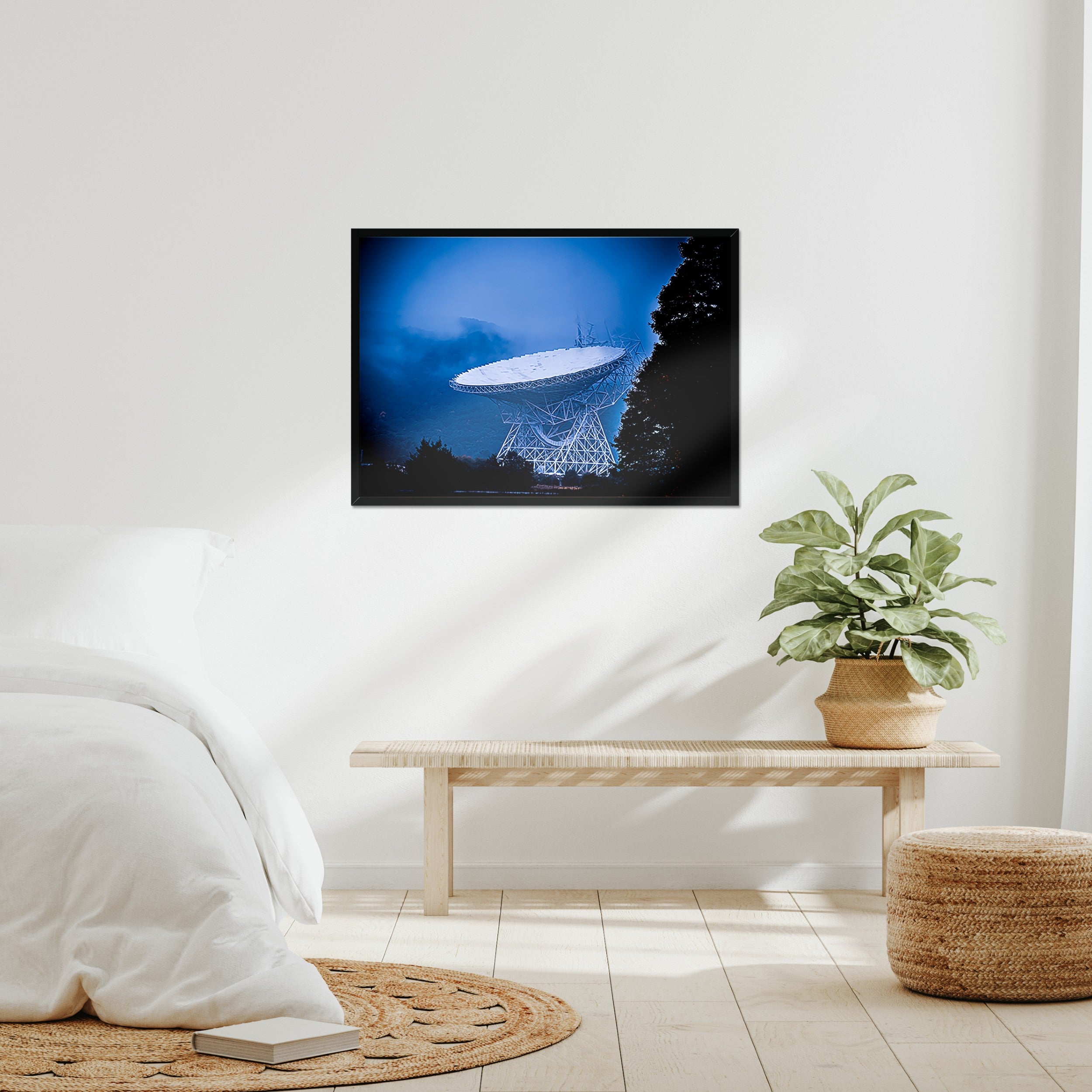 Signal in the Mist (Appalachian Fog Photography Print)