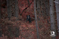 The Guardian of Red Hollow