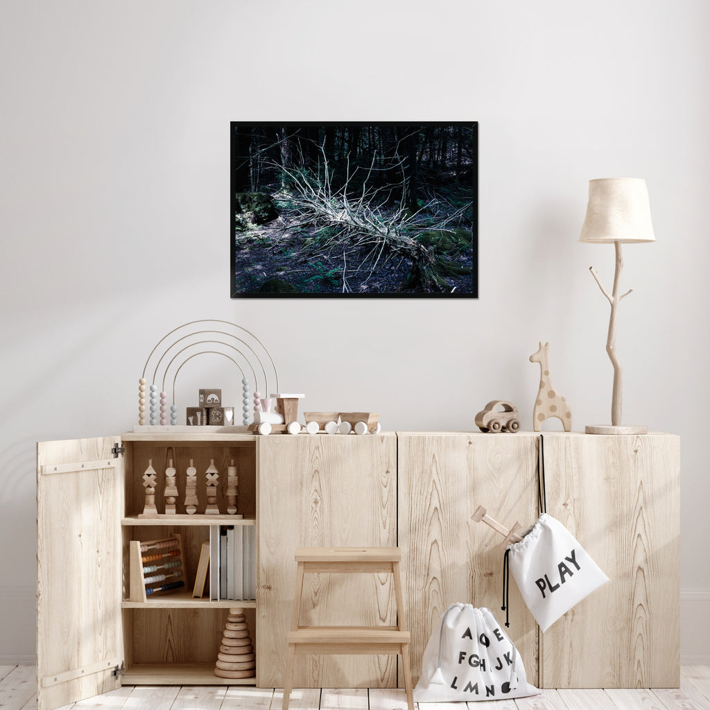 What the Forest Keeps