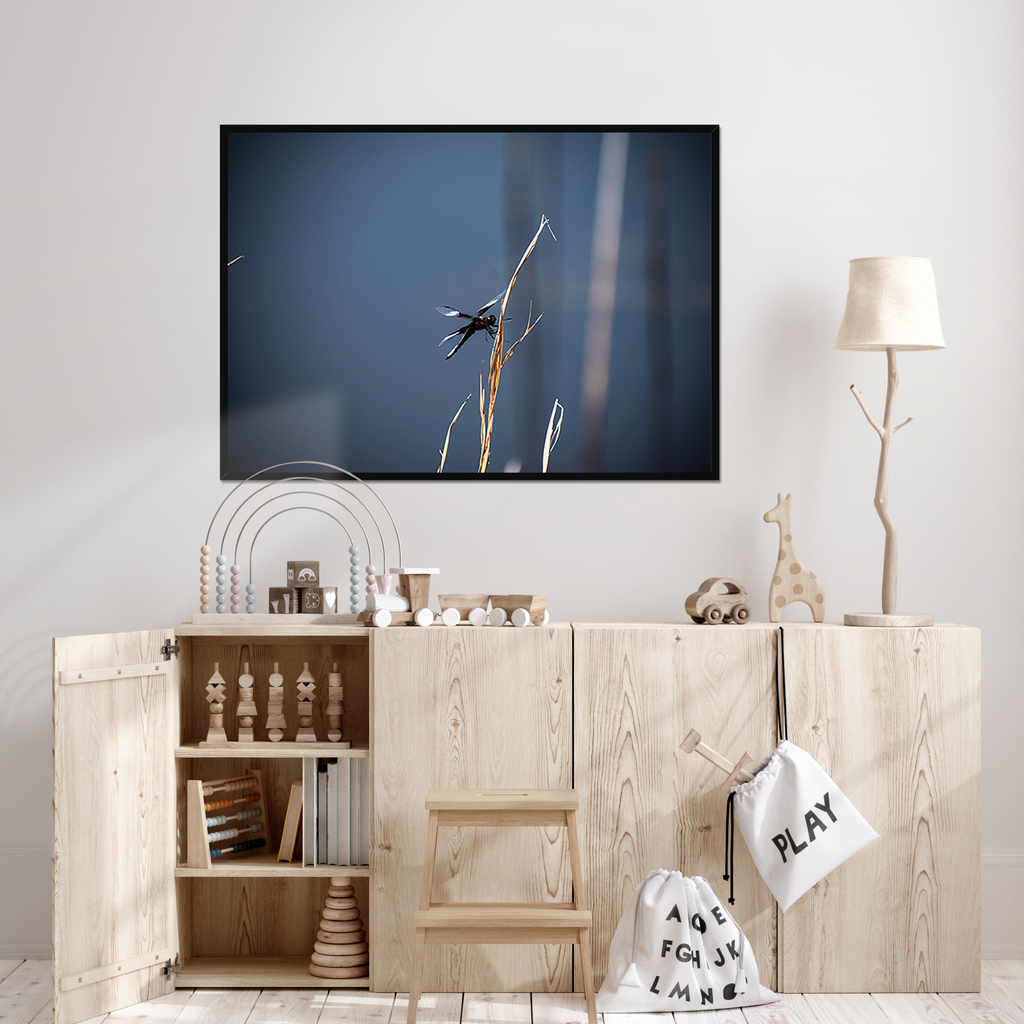 Blue Ridge Sentinel – Appalachian Dragonfly Fine Art Print