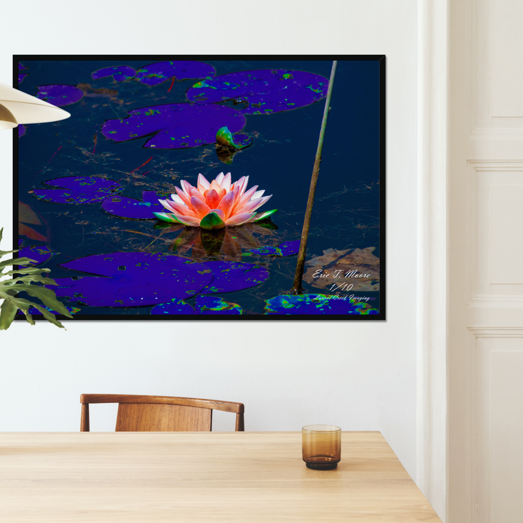Petal Drift – Limited Edition Framed Fine Art Print (16×24) /10