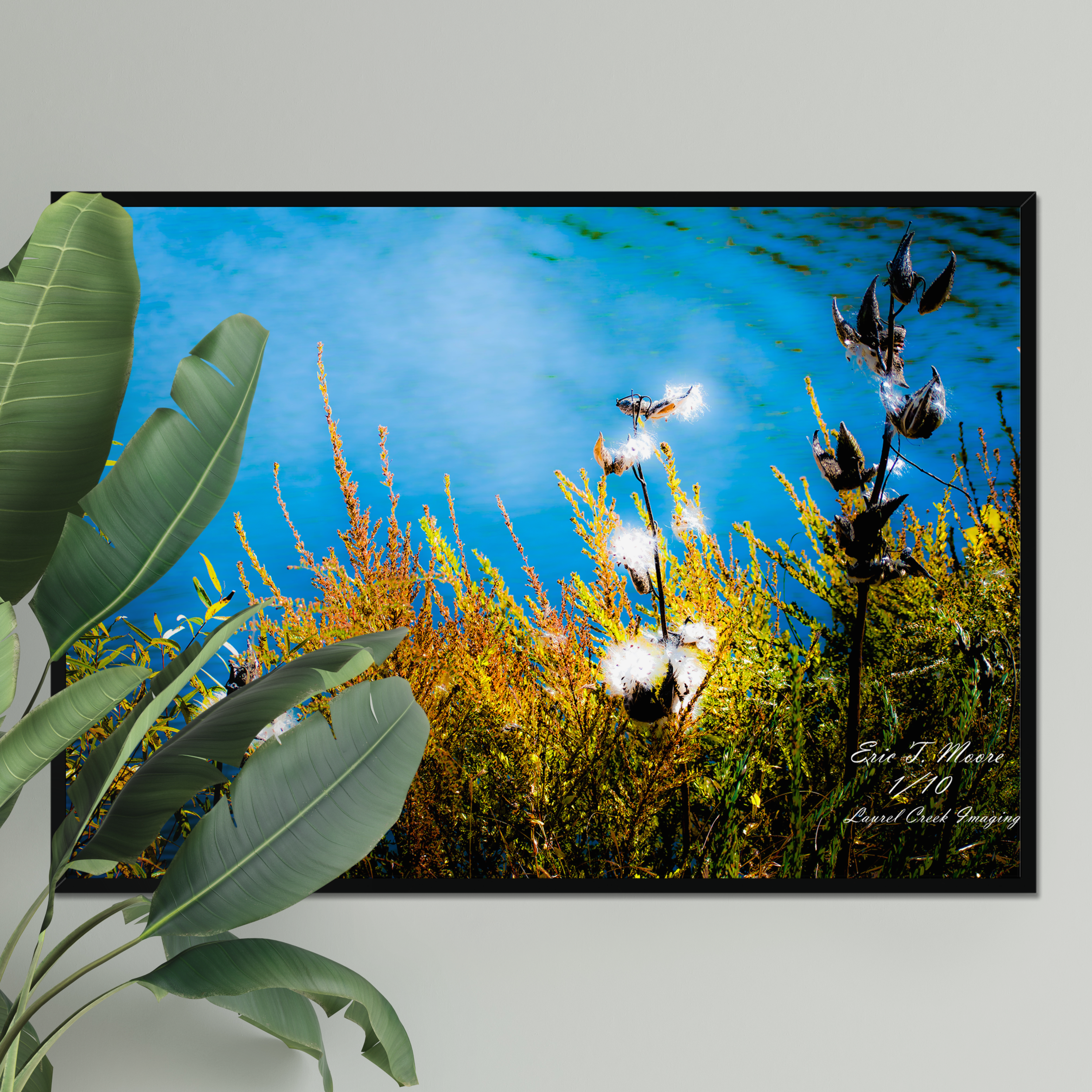 Downfeather Drift at Warden – Limited Edition Framed Fine Art Print (16x24") /10