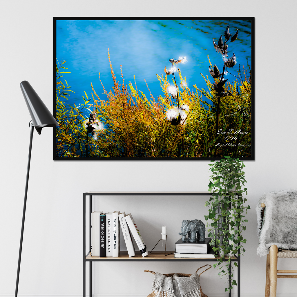 Downfeather Drift at Warden – Limited Edition Framed Fine Art Print (16x24") /10