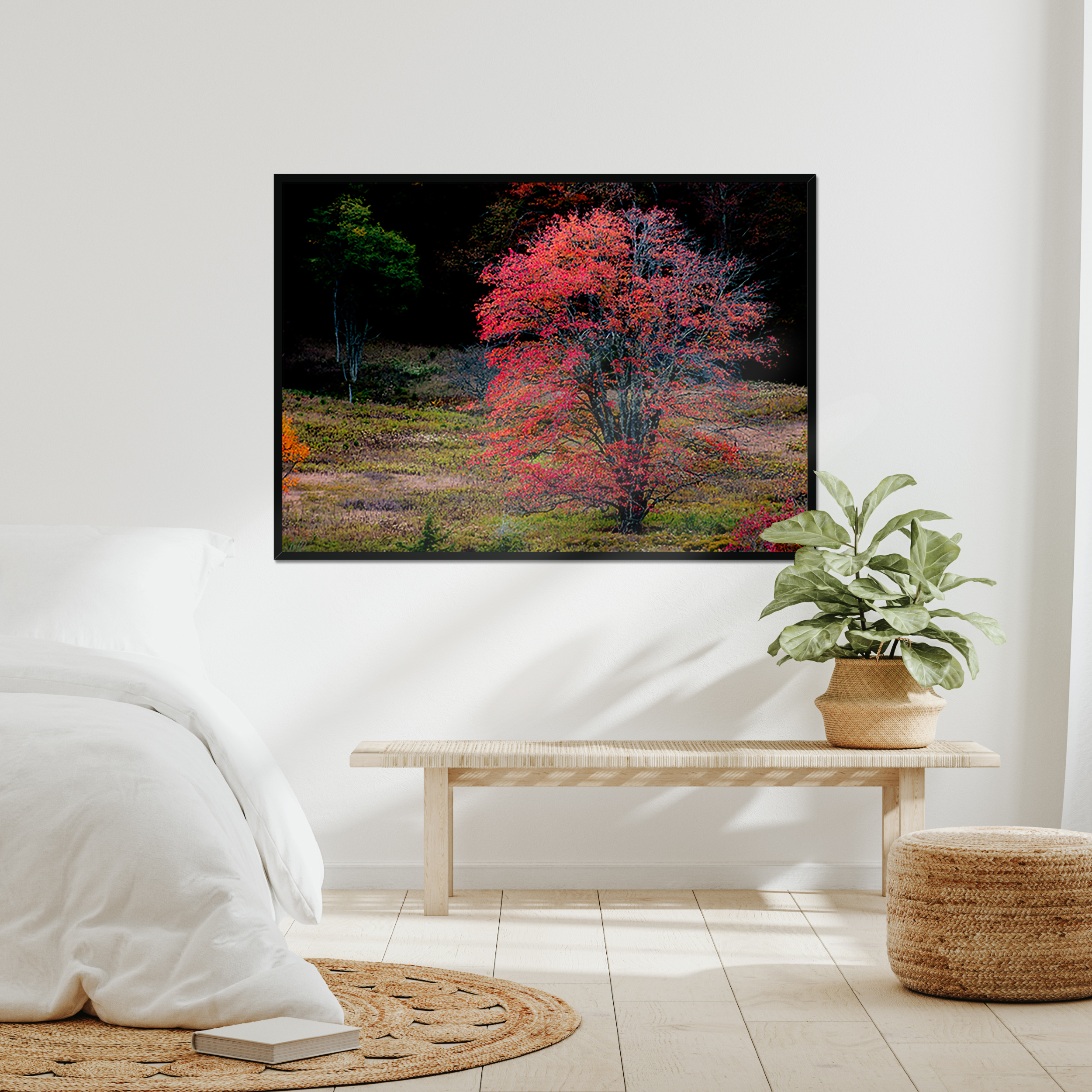 Canaan's Quiet Blaze – Appalachian Autumn Fine Art Print