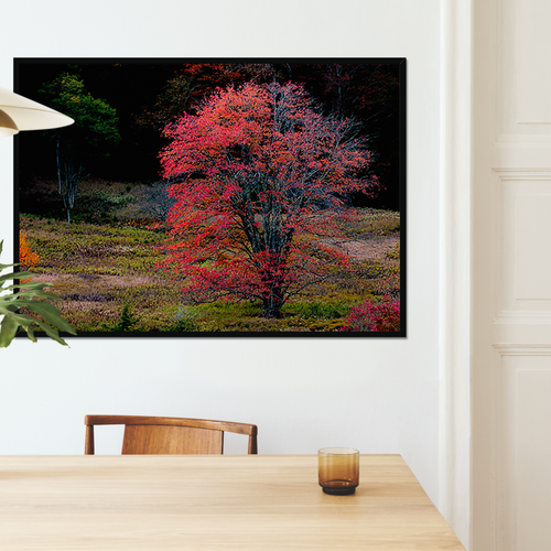 Canaan's Quiet Blaze – Appalachian Autumn Fine Art Print