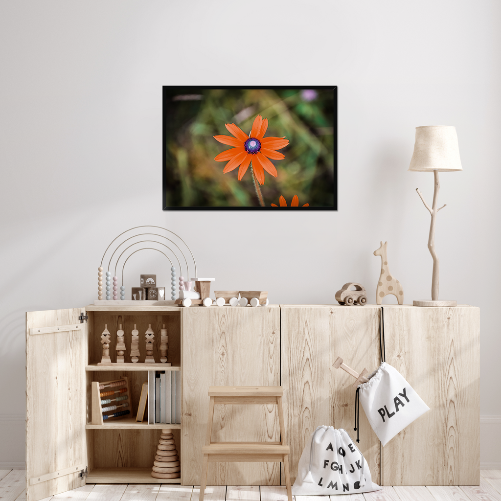 Goldflare in Stillness – Appalachian Wildflower Fine Art Print