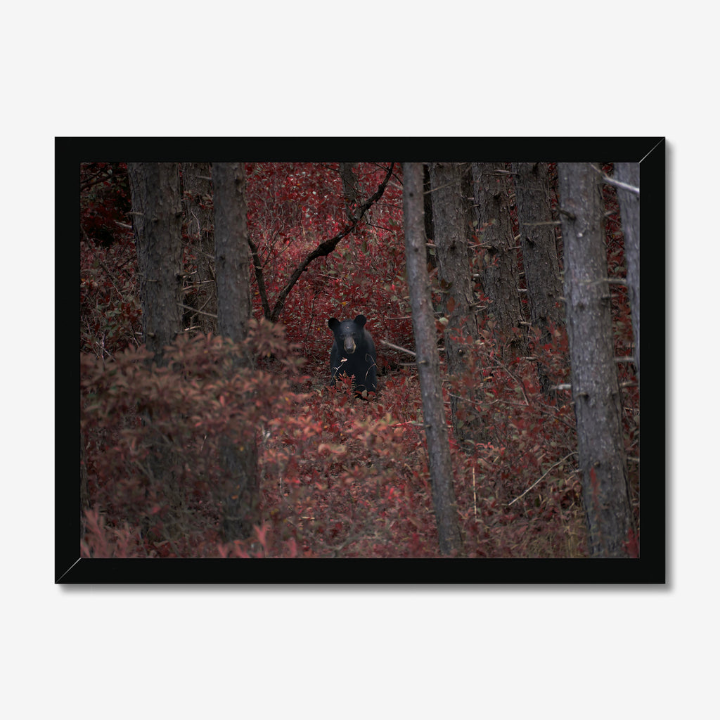 The Guardian of Red Hollow